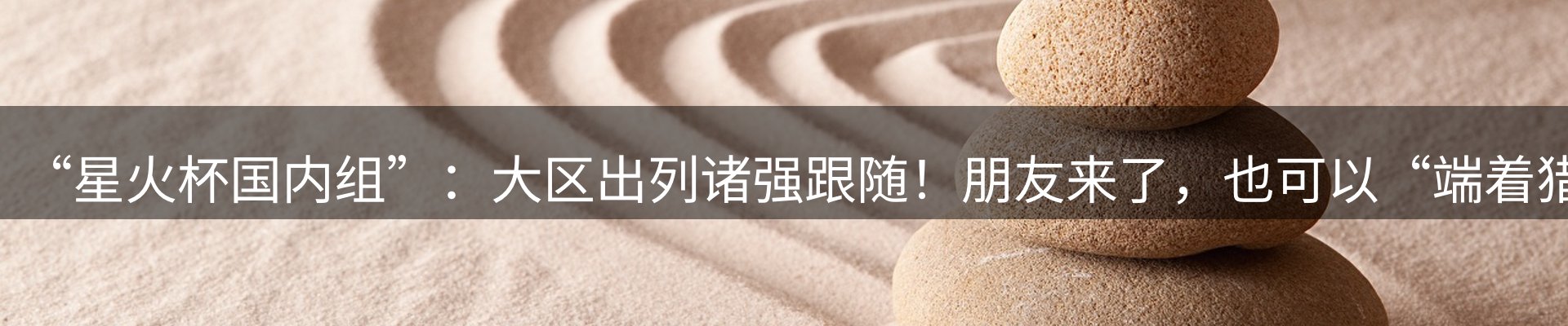 网站资讯
