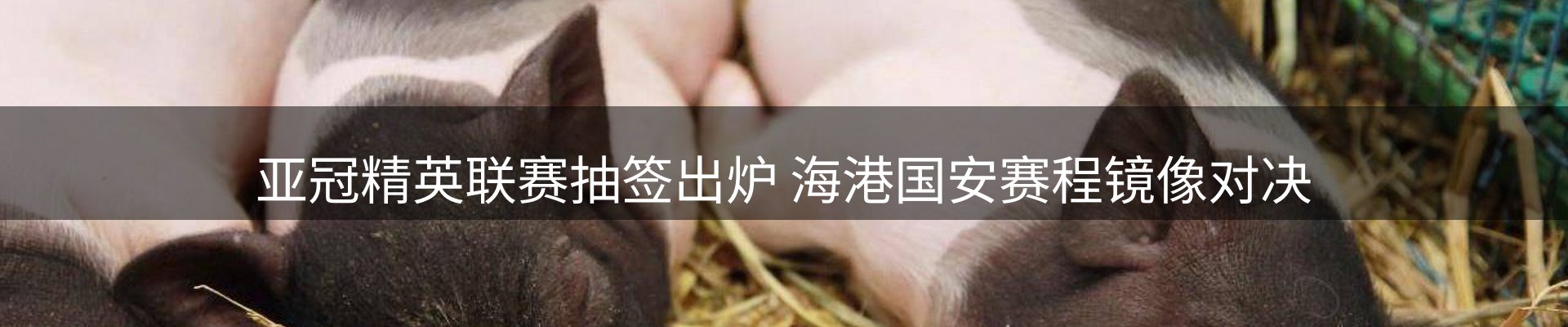 网站资讯