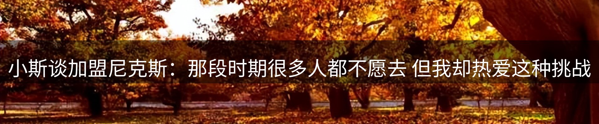 网站资讯