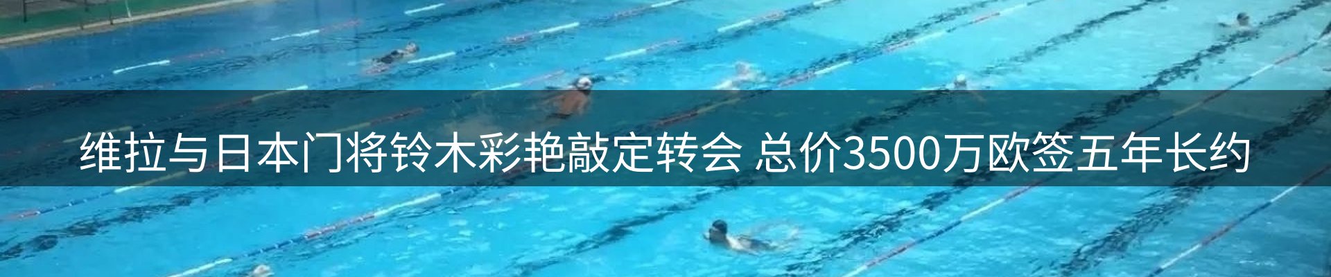 网站资讯