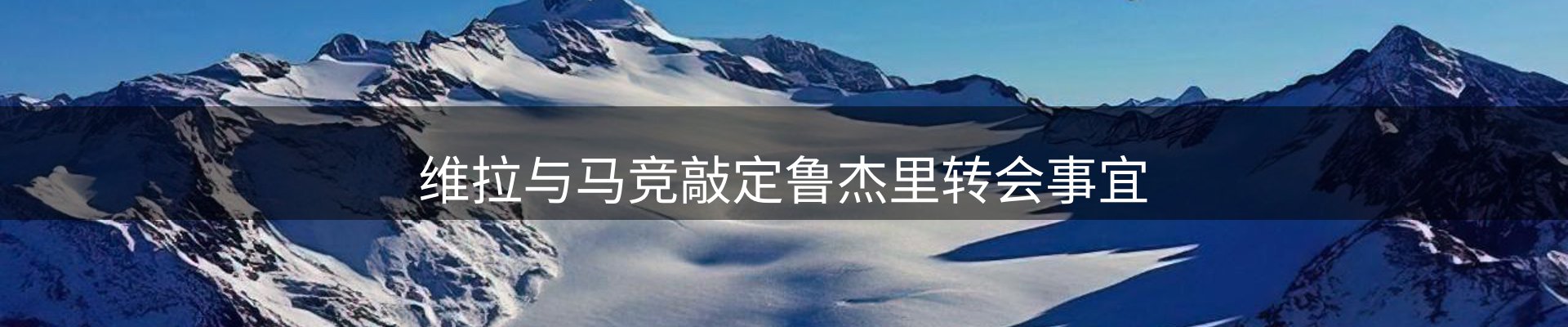 网站资讯