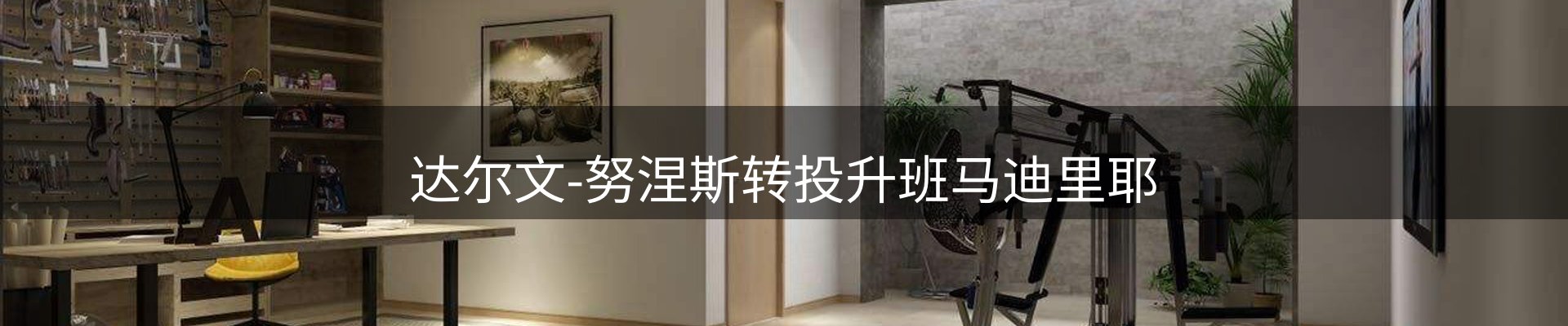网站资讯