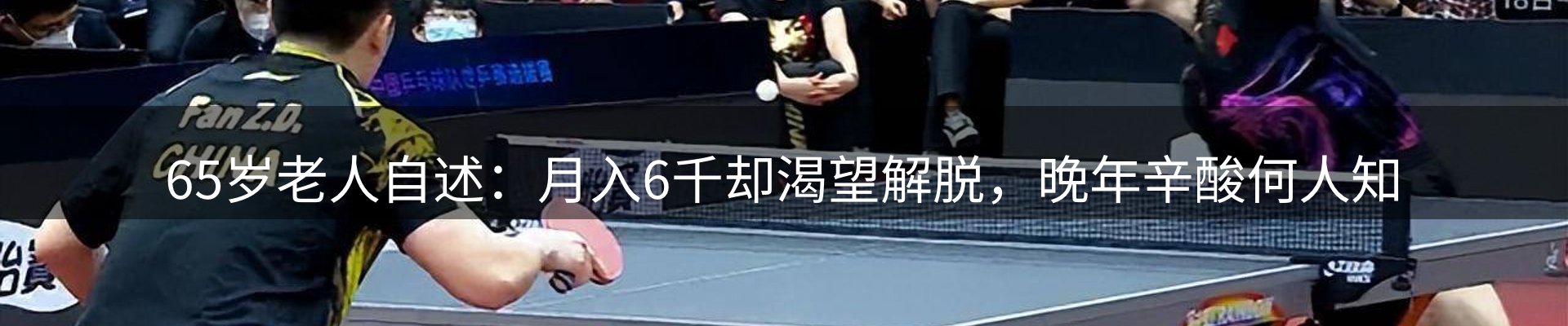 网站资讯